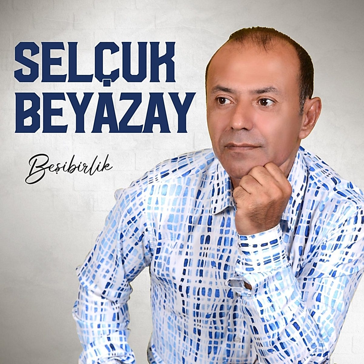 Beşibirlik
